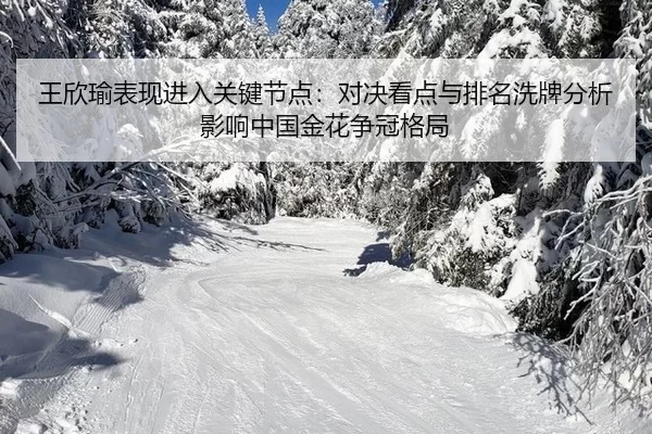 wang-xin-yu-biao-xian-jin-ru-guan-jian-jie-dian-dui-jue-kan-dian-yu-pai-ming-xi-pai-fen-xi-ying-xiang-zhong-guo-jin-hua-2-359.jpg